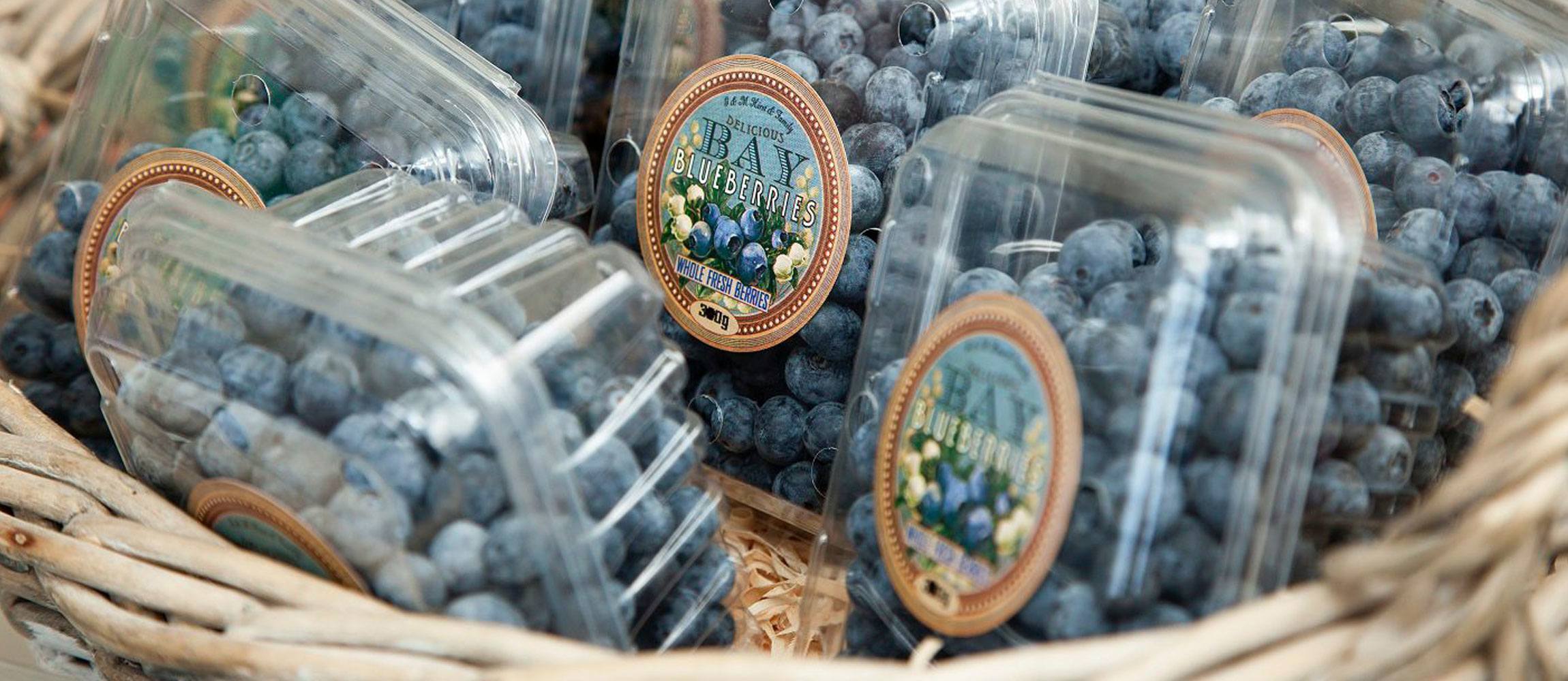 Graphic Design Wellington, Kapiti, Luvly