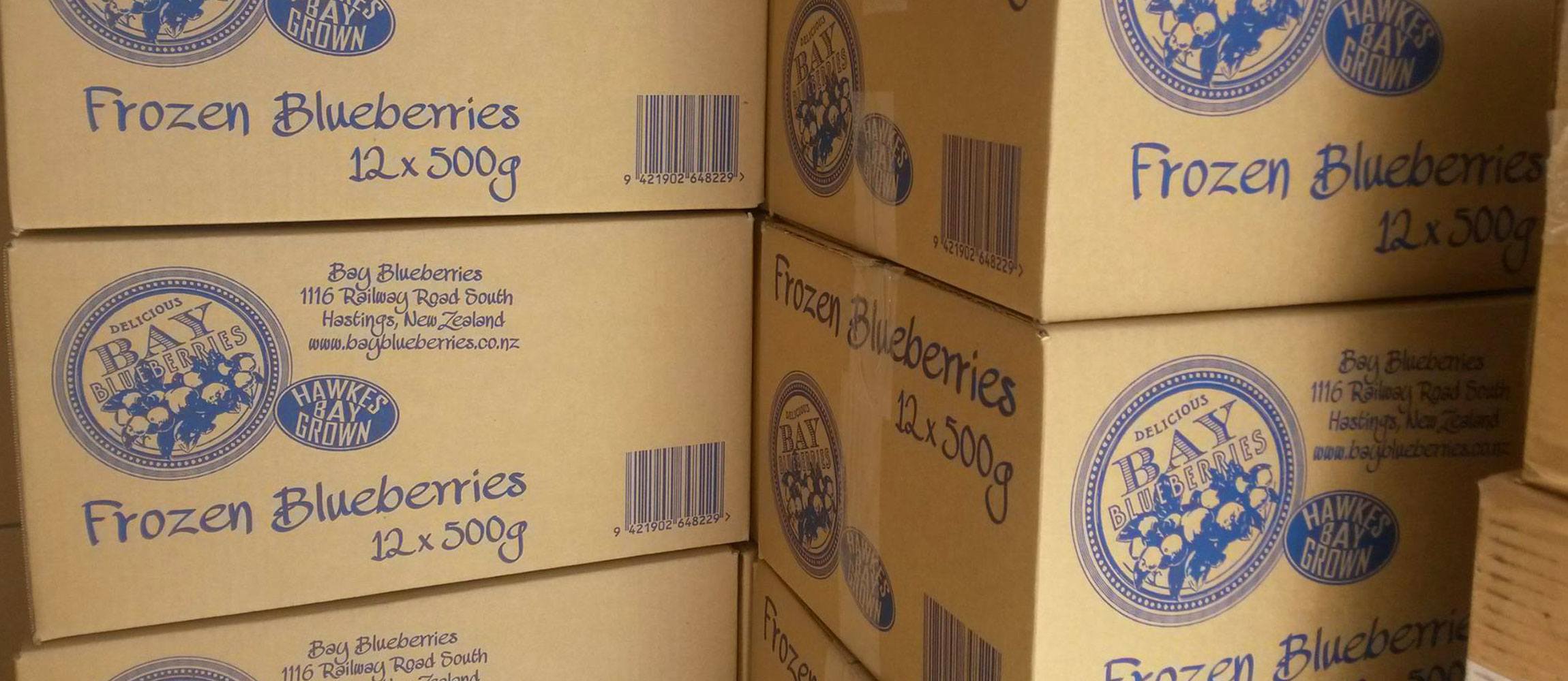 Graphic Design Wellington, Kapiti, Luvly