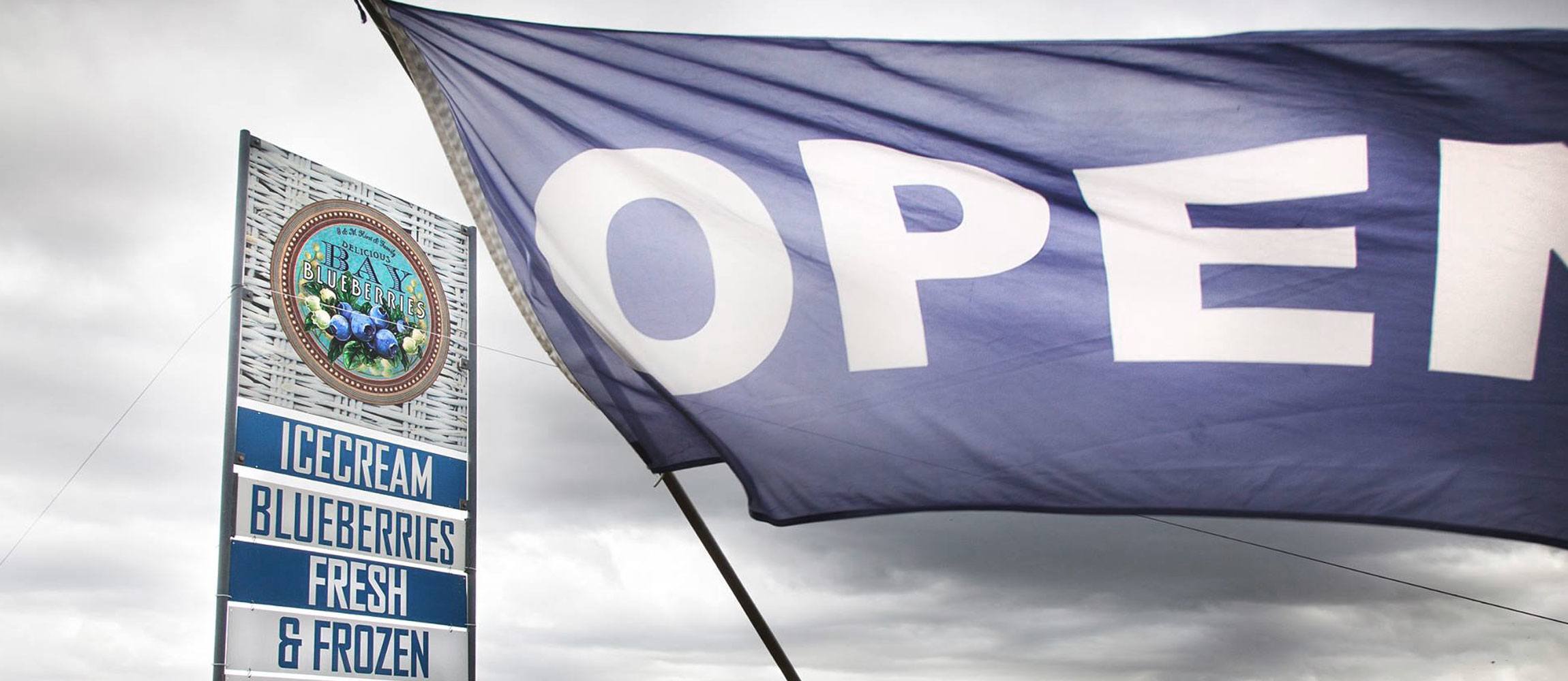 Graphic Design Wellington, Kapiti, Luvly