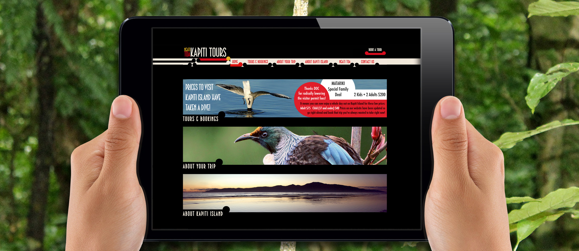 Web Design, Wellington, Build a Website NZ