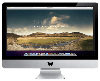 Web Design Company, Designer Websites